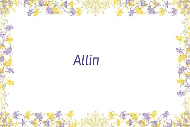 Allin剧照