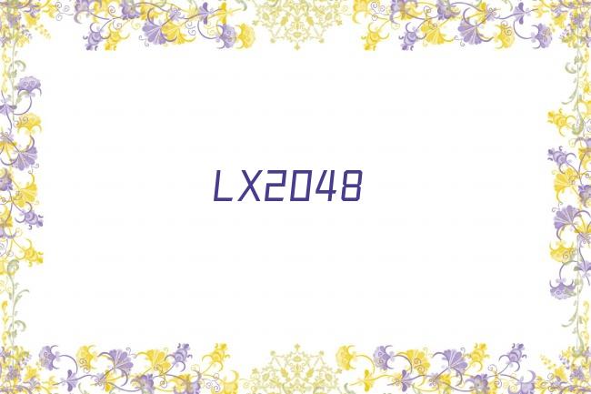 LX2048剧照