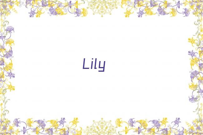 Lily剧照