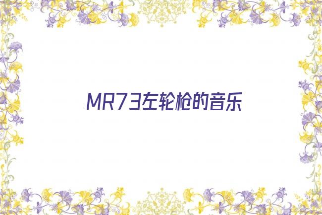 MR73左轮枪的音乐剧照