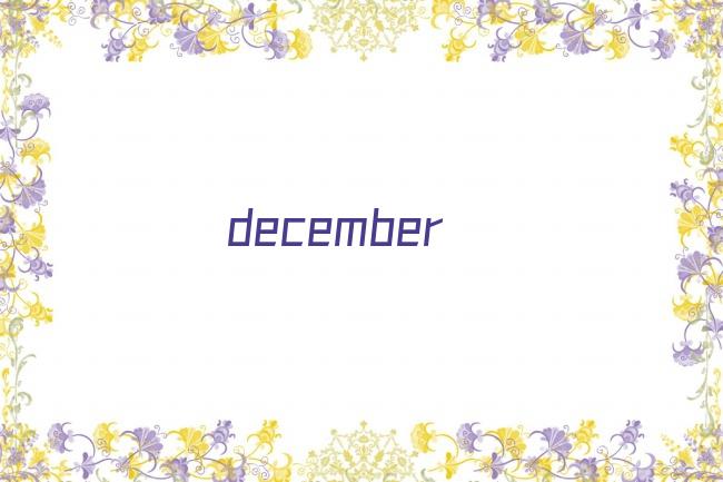 december剧照