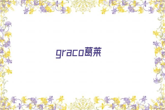 graco葛莱剧照