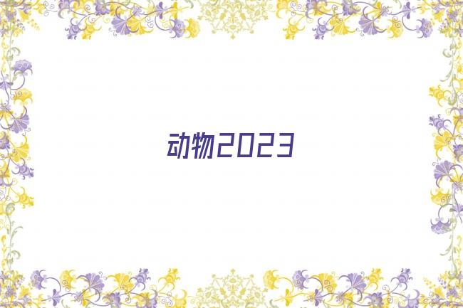 动物2023剧照