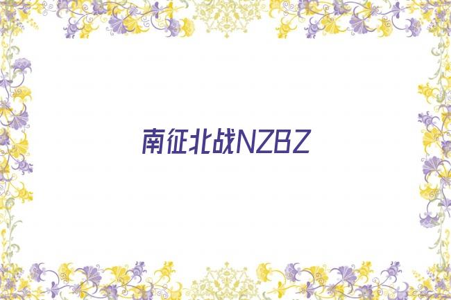 南征北战NZBZ剧照