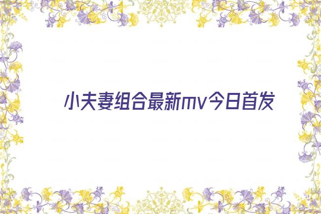 小夫妻组合最新mv今日首发剧照