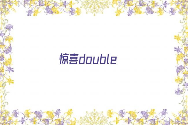 惊喜double剧照