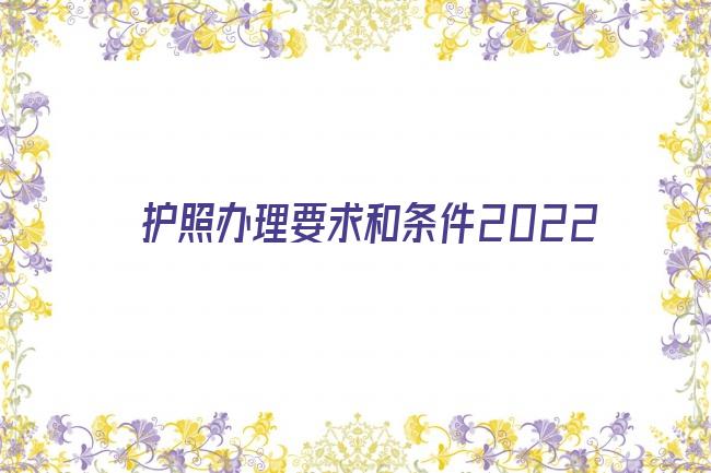 护照办理要求和条件2022剧照