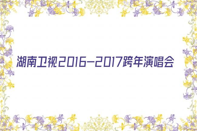 湖南卫视2016-2017跨年演唱会剧照