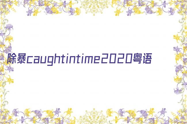 除暴caughtintime2020粤语剧照